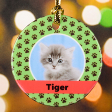 Cat Pet Personalized Photo Porcelain Ornament, Green