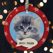 Kitty's Christmas Personalized Photo Porcelain Ornament