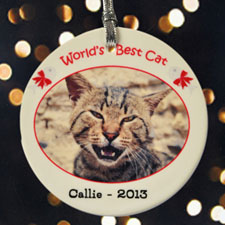 World's Best Cat Personalized Photo Porcelain Ornament